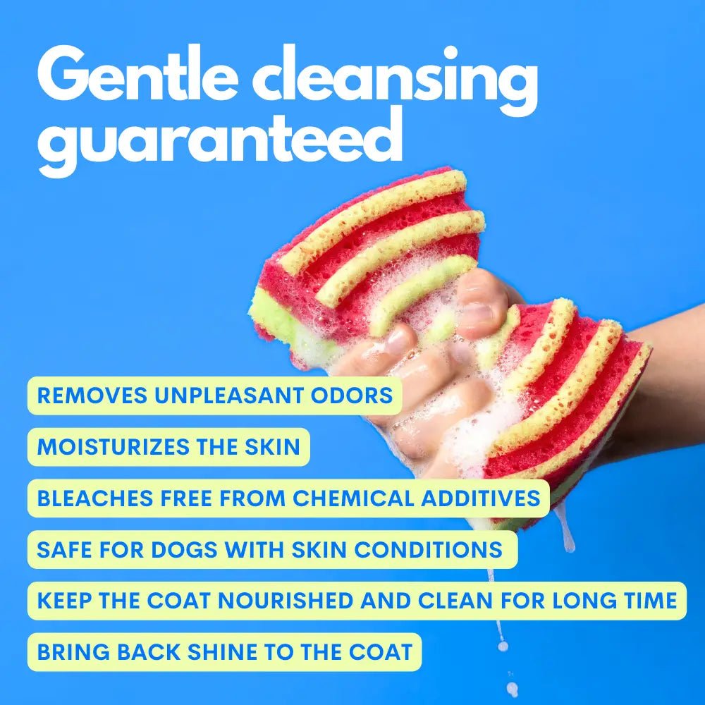 The Number One Shampoo+Conditioner Hypoallergenic For Dogs by Jampy - Bobo and the Fox