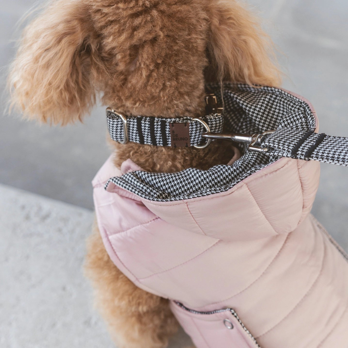 Waterproof Dog Jacket by B de Bruno - Bobo and the Fox