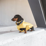 Waterproof Dog Jacket by B de Bruno - Bobo and the Fox