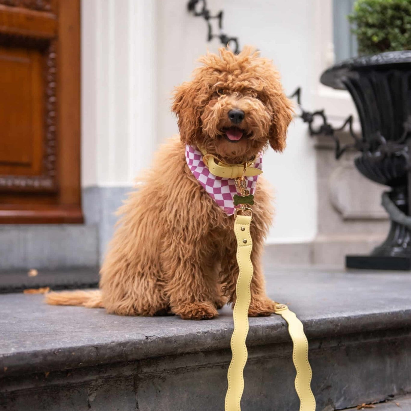Wavy Hands - free Adjustable Leash by Floofs and Cookies - Bobo and the Fox
