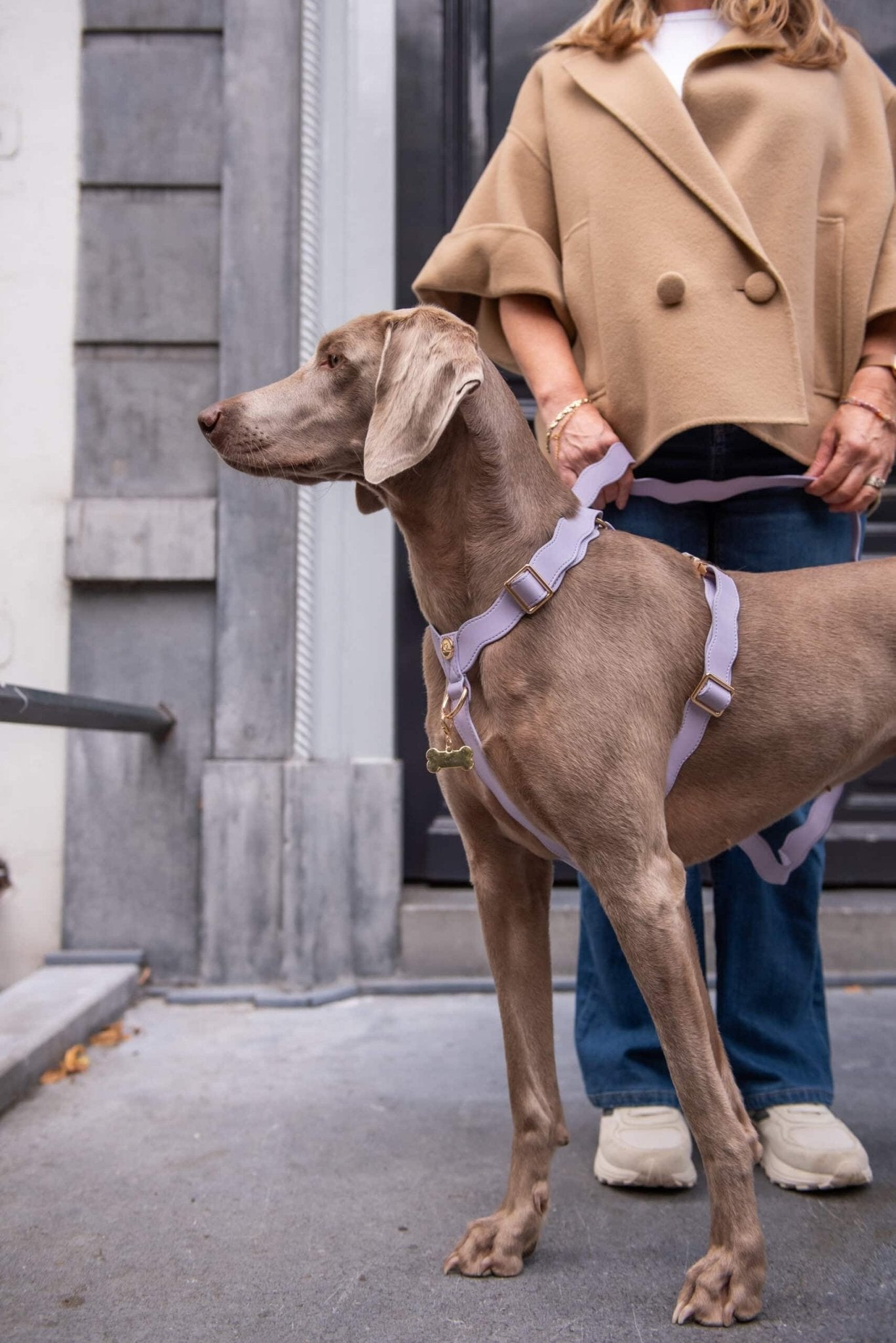 Wavy Harness by Floofs and Cookies - Bobo and the Fox