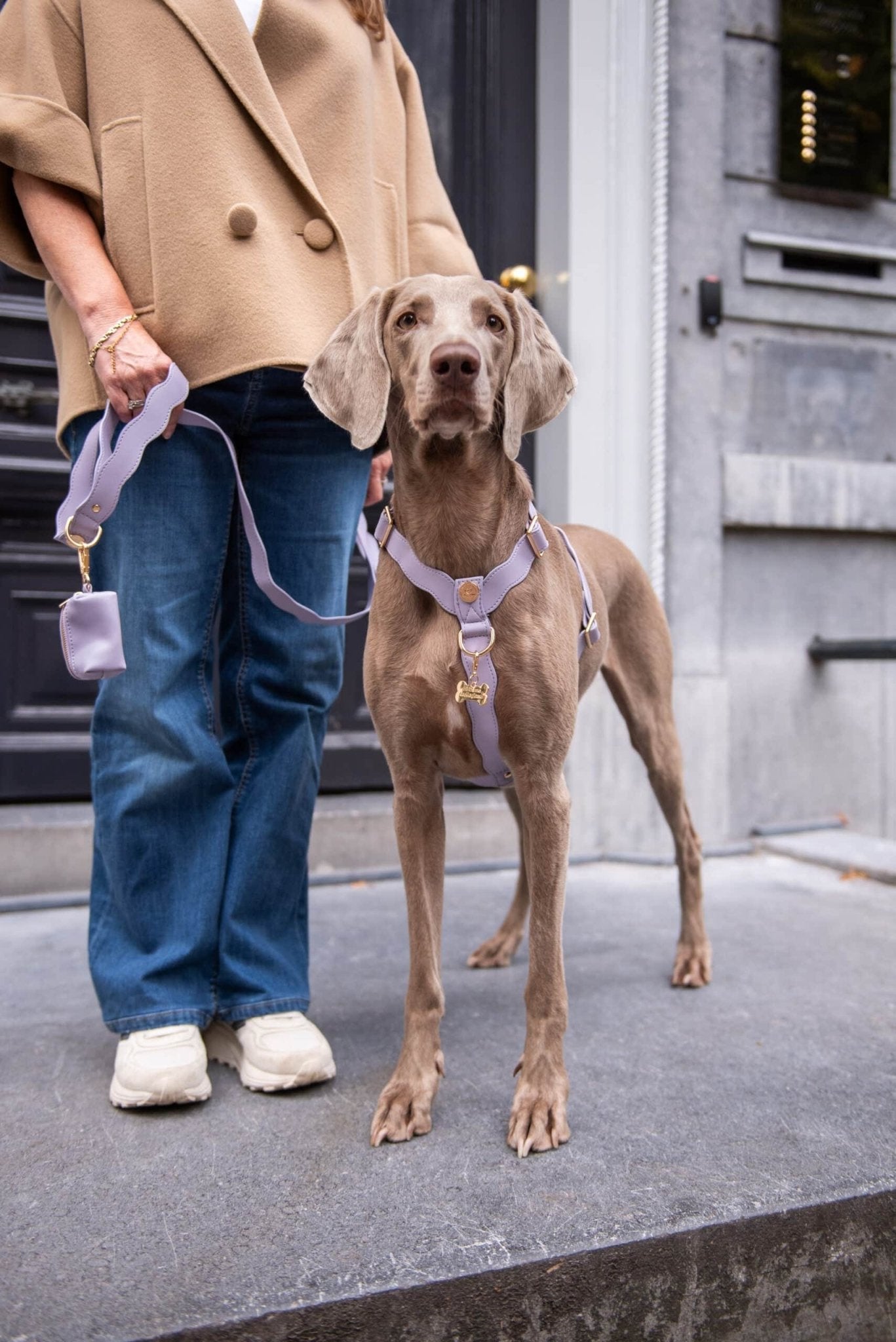 Wavy Harness by Floofs and Cookies - Bobo and the Fox