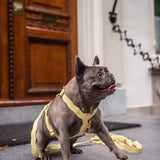 Wavy Harness by Floofs and Cookies - Bobo and the Fox