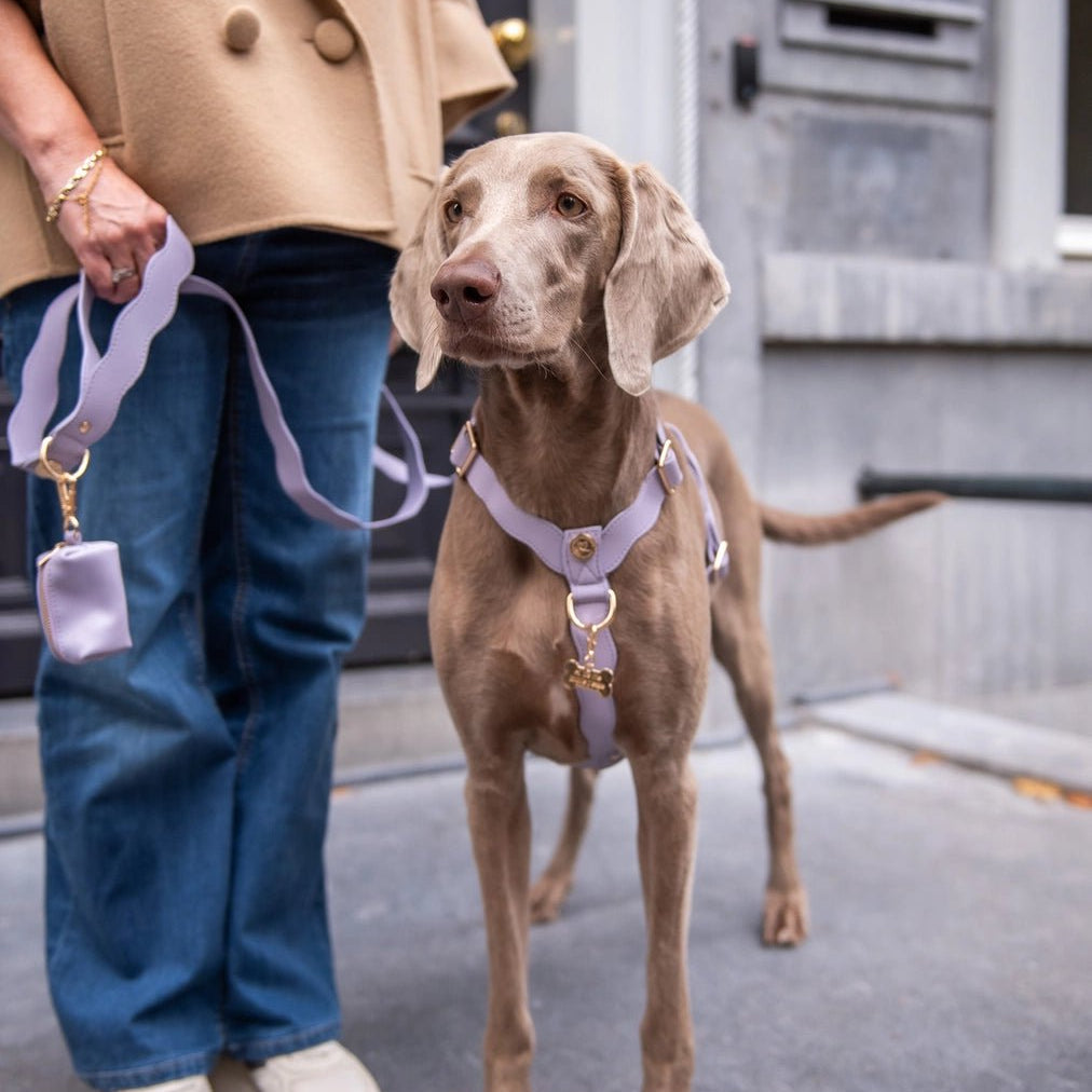 Wavy Hands - free Adjustable Leash by Floofs and Cookies - Bobo and the Fox
