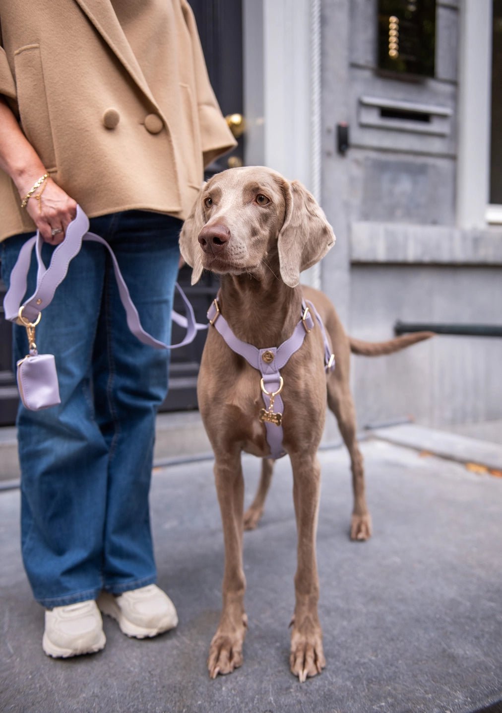 Wavy Hands - free Adjustable Leash by Floofs and Cookies - Bobo and the Fox