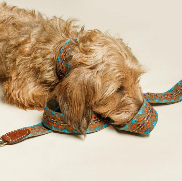 Etna Green Dog Leash by Buddys Dogwear – Bobo and the Fox
